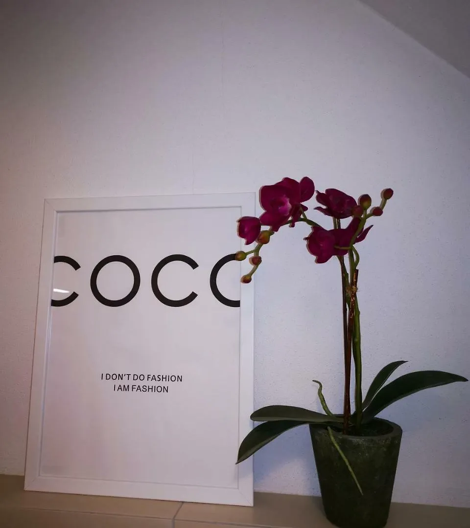 Bologna Boutique Home